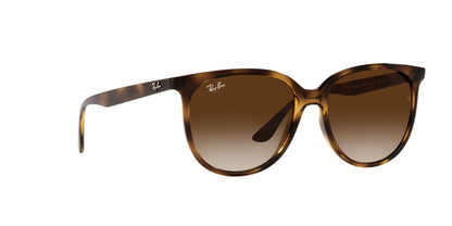 RAY-BAN RB4378 710/13 54