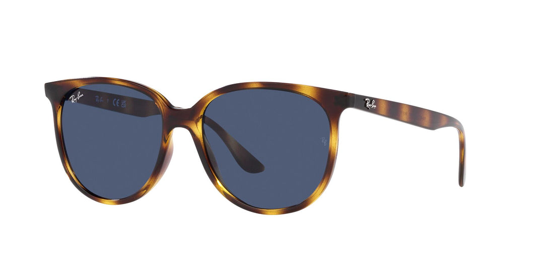 RAY-BAN RB4378 710/80 54