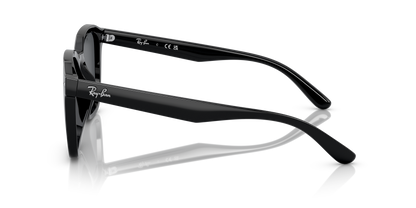 RAY-BAN RB4392D 601/87 66 - 18