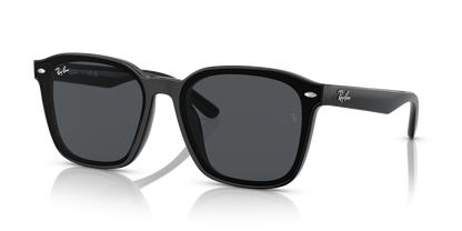 RAY-BAN RB4392D 601/87 66 - 22