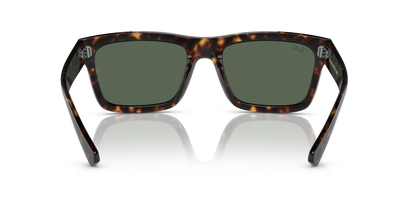 RAY-BAN RB4396 WARREN 135971 54