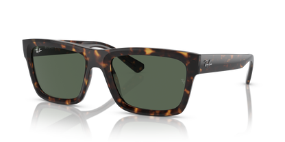 RAY-BAN RB4396 WARREN 135971 54