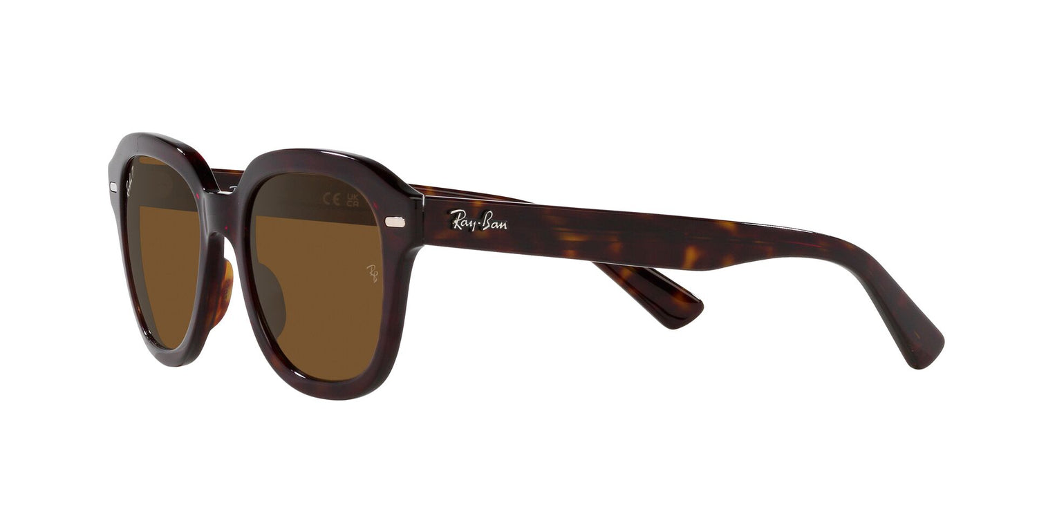 RAY-BAN RB4398 ERIK 902/57 53 - 12