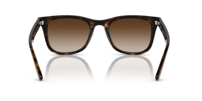 RAY-BAN RB4420 710/13 65