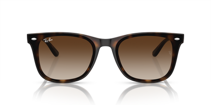 RAY-BAN RB4420 710/13 65
