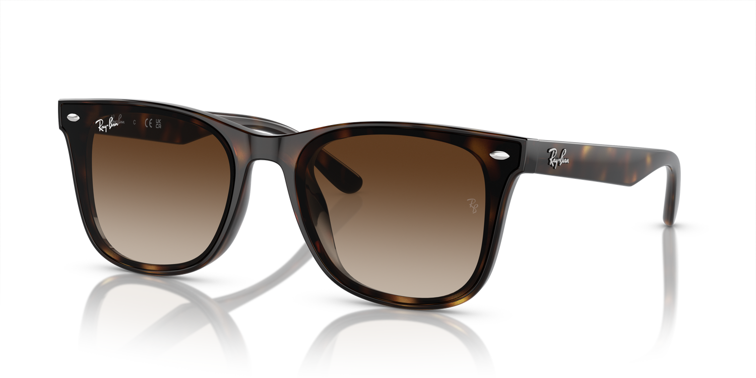 RAY-BAN RB4420 710/13 65