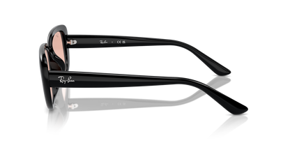 RAY-BAN RB4421D 667784 56 - 23