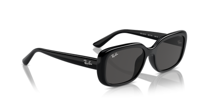 RAY-BAN RB4421D 667787 56 - 22