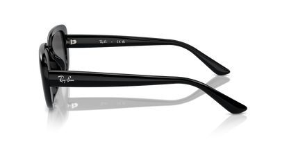 RAY-BAN RB4421D 667787 56 - 20