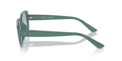 RAY-BAN RB4421D 676287 56 - 5