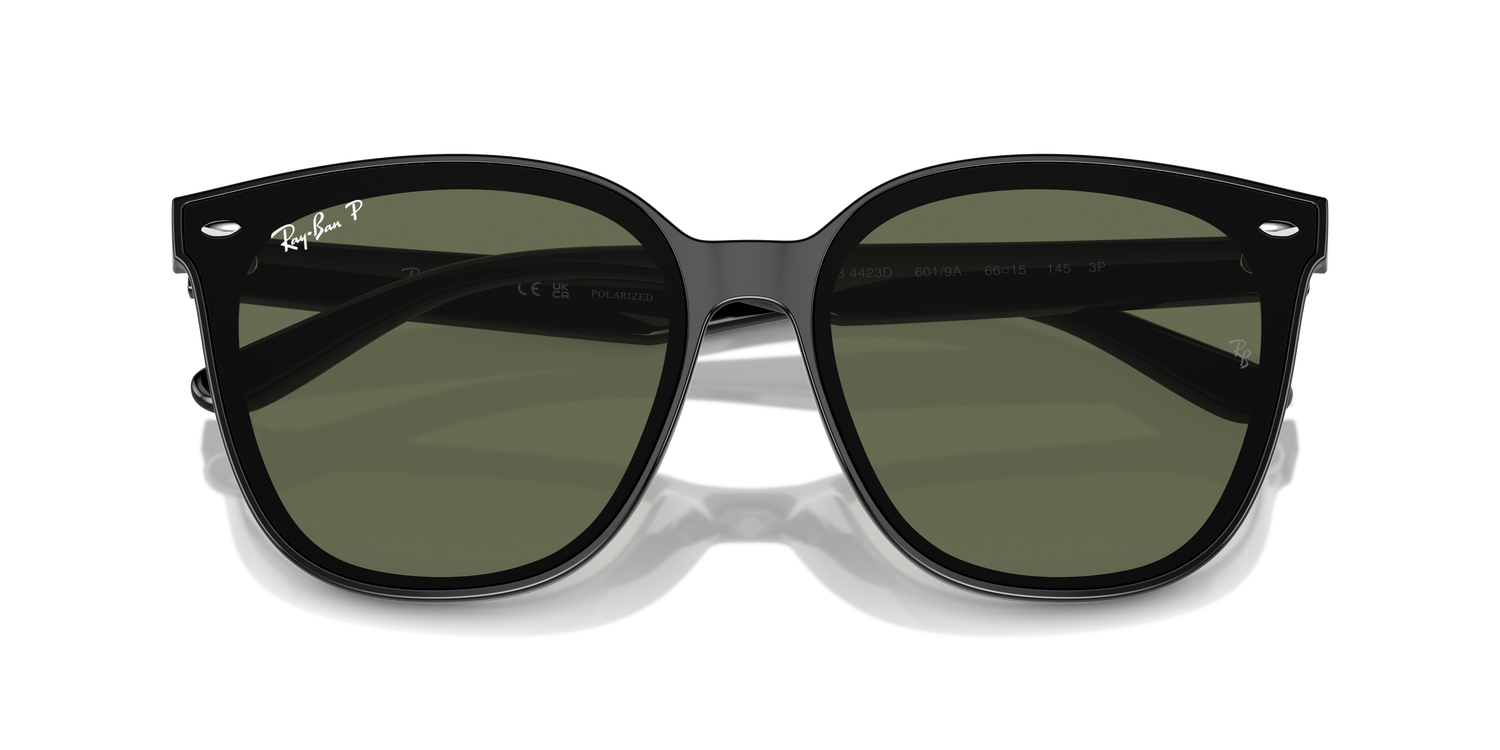 RAY-BAN RB4423D 601/9A 66 - 21