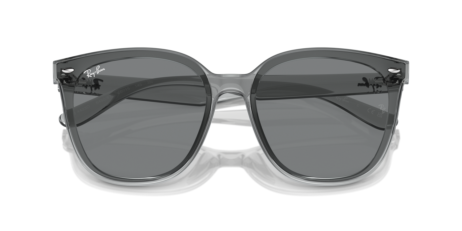 RAY-BAN RB4423D 645087 66 - 24