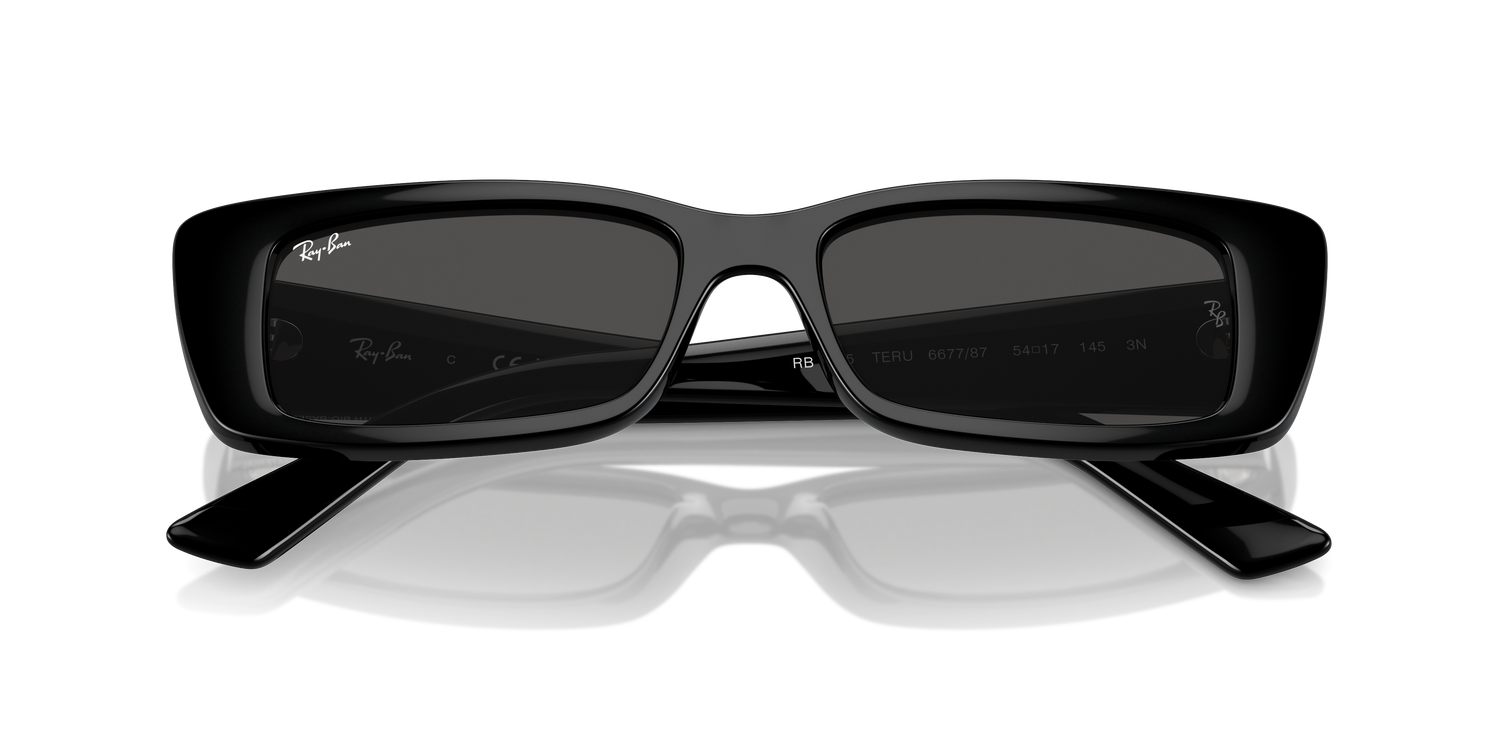 RAY-BAN RB4425 TERU 667787 54