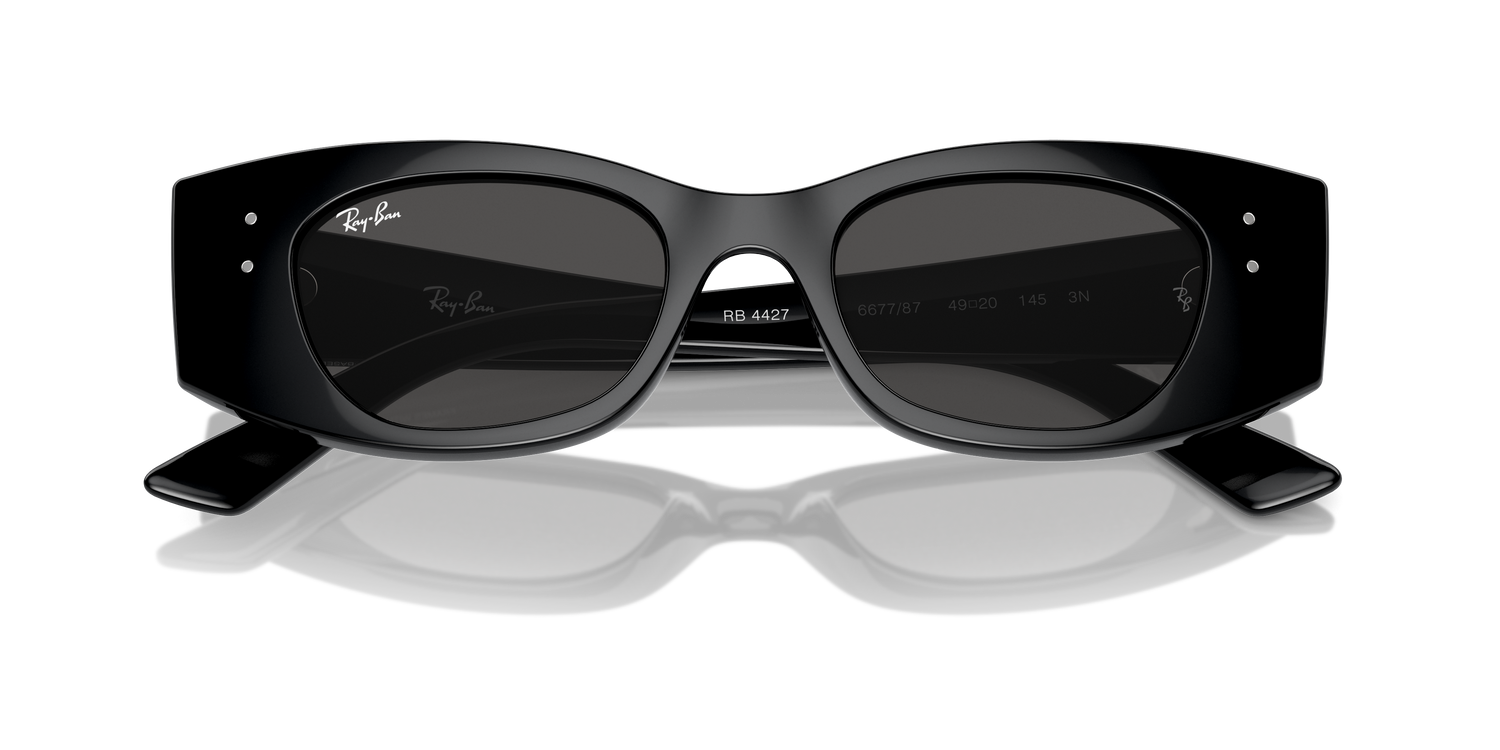 RAY-BAN RB4427 KAT 667787 49