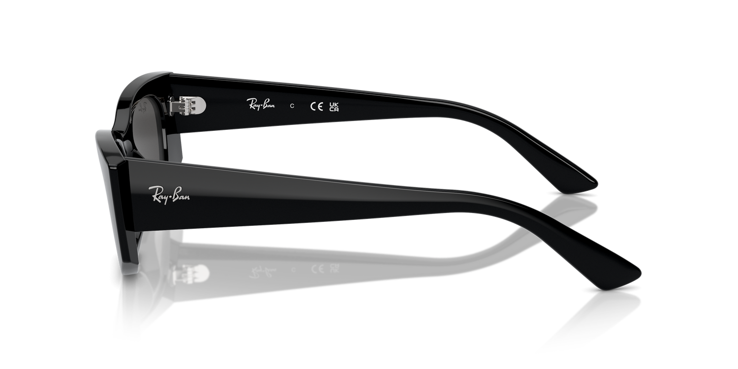 RAY-BAN RB4427 KAT 667787 49