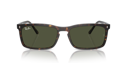 RAY-BAN RB4435 902/31 59 - 10