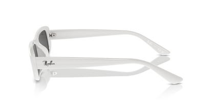 RAY-BAN RB4436D 677287 55