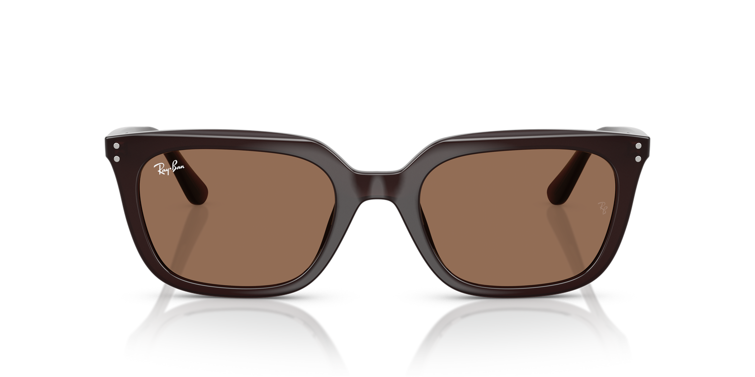 RAY-BAN RB4439D 623173 54