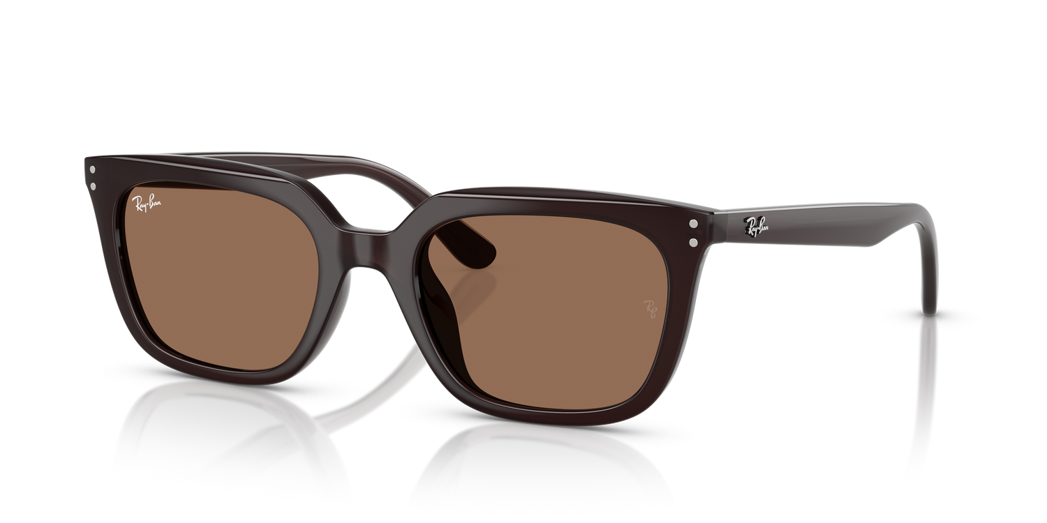 RAY-BAN RB4439D 623173 54