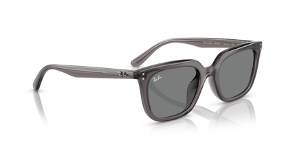 RAY-BAN RB4439D 667587 54