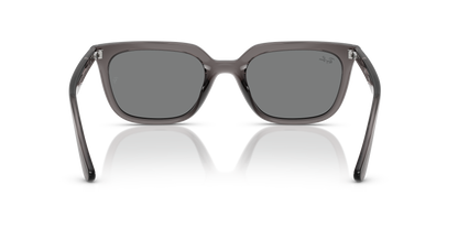 RAY-BAN RB4439D 667587 54