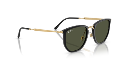 RAY-BAN RB4451 630631 50
