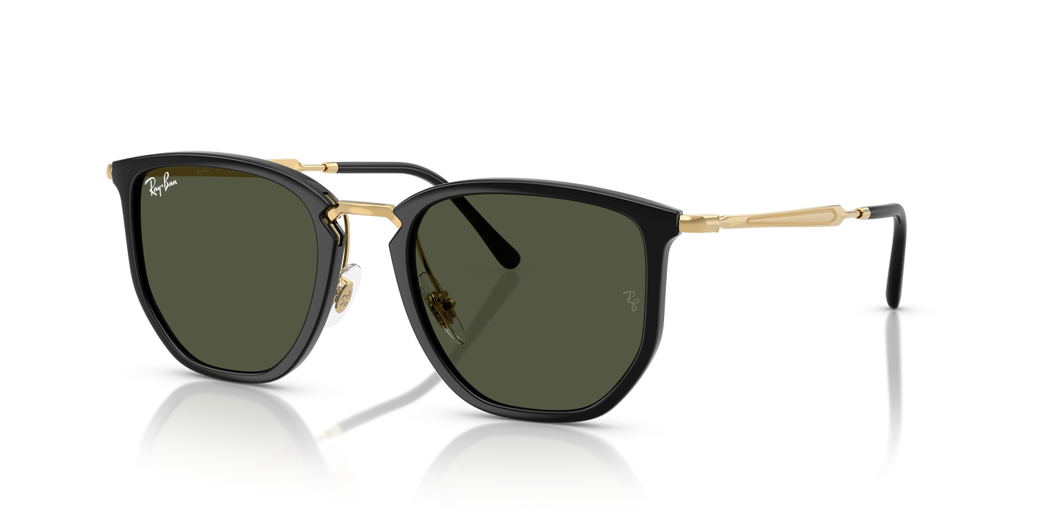 RAY-BAN RB4451 630631 50