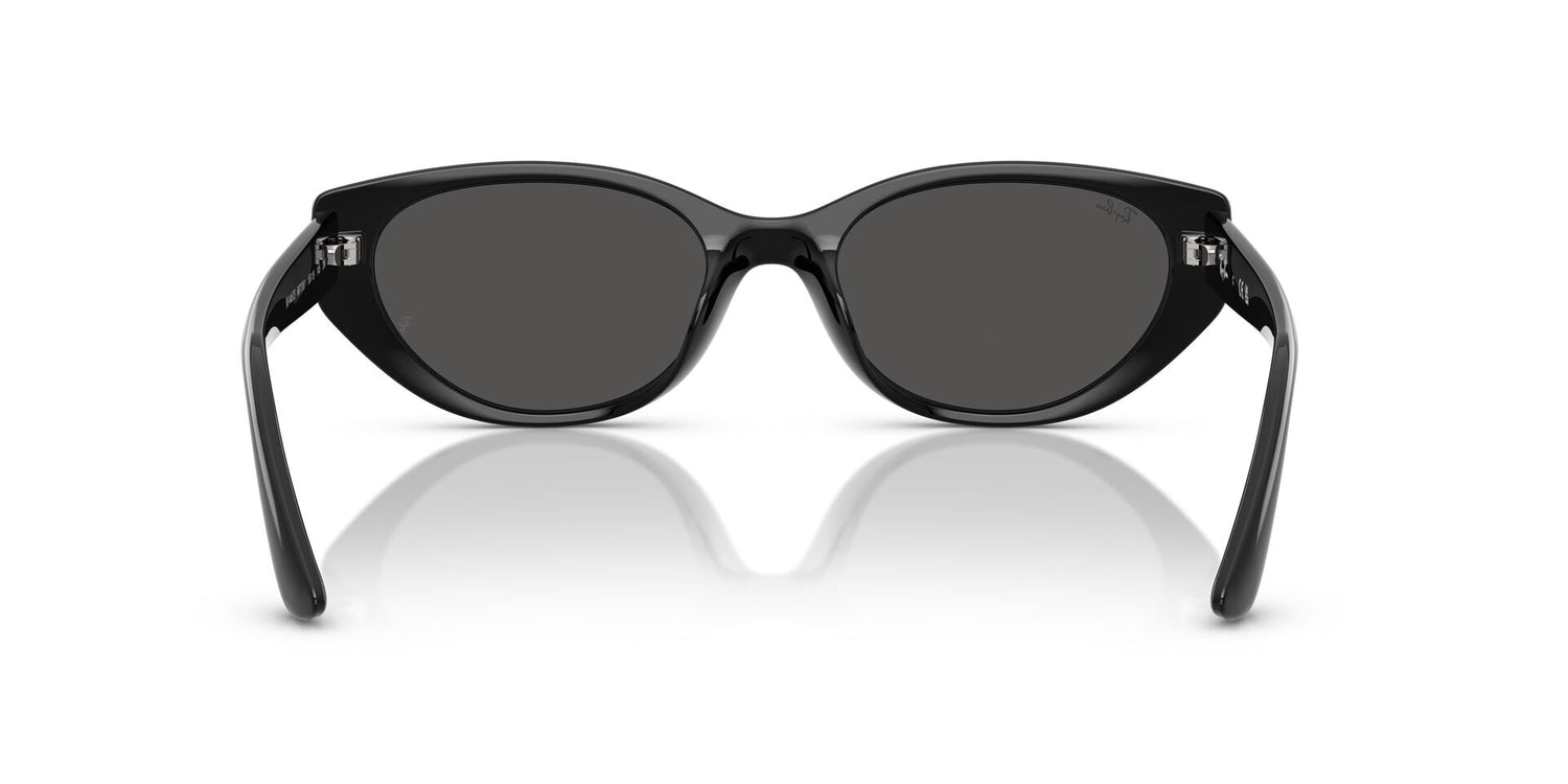 RAY-BAN RB4457D 667787 55
