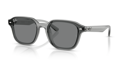 RAY-BAN RB4458D 645087 65