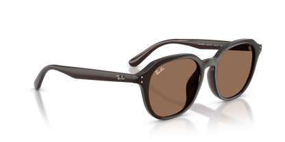 RAY-BAN RB4459D 623173 54