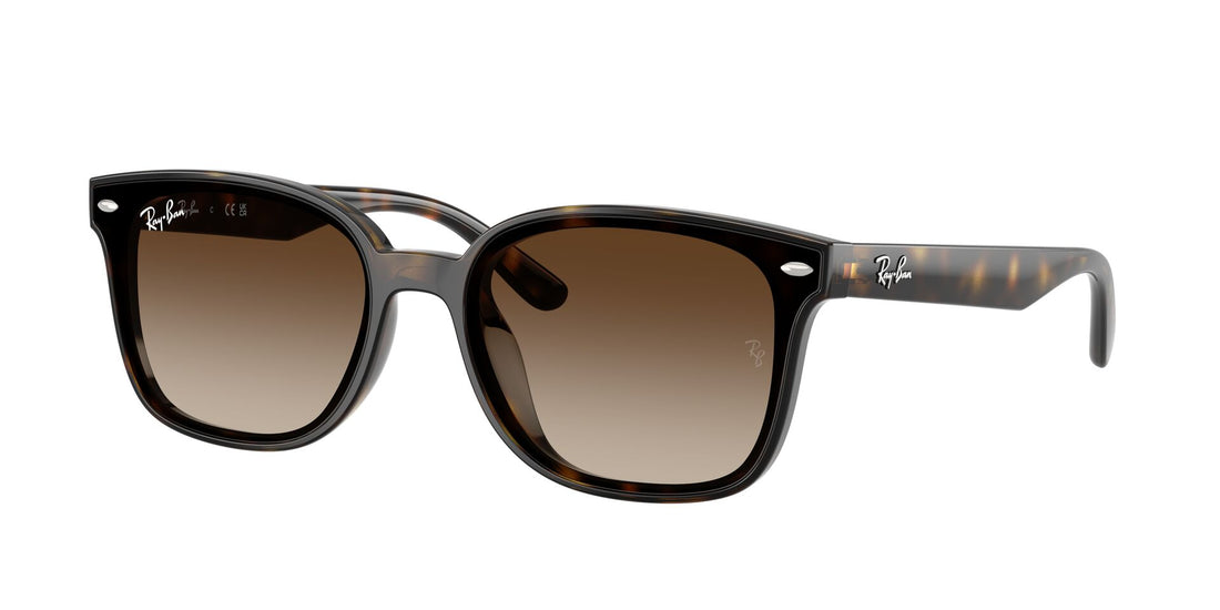 RAY-BAN RB4461D 710/13 64