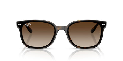 RAY-BAN RB4461D 710/13 64