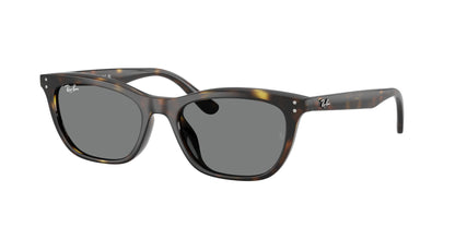 RAY-BAN RB4474D 710/87 54