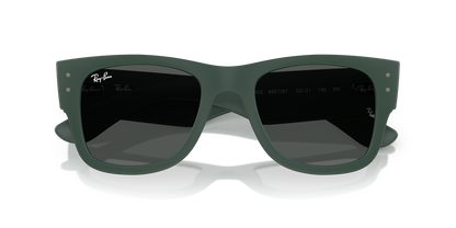 RAY-BAN RB4840S 665787 50