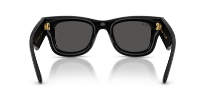 RAY-BAN RB4940BP WAYFARER PUFFER 686587 47