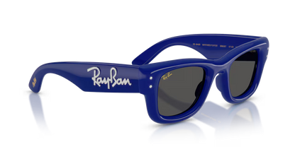 RAY-BAN RB4940B WAYFARER PUFFER 686087 47