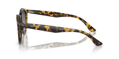 RAY-BAN RB7680S LARRY 1332GL 51