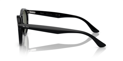 RAY-BAN RB7680S LARRY 901/31 49