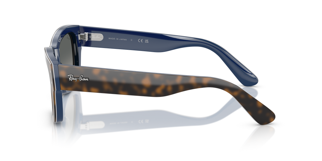 RAY-BAN RB7683S JOSEPH 140171 55