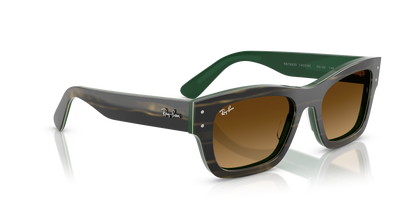 RAY-BAN RB7683S JOSEPH 140285 55