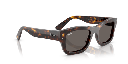 RAY-BAN RB7683S JOSEPH 902/B1 55