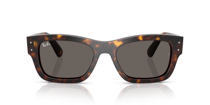 RAY-BAN RB7683S JOSEPH 902/B1 55