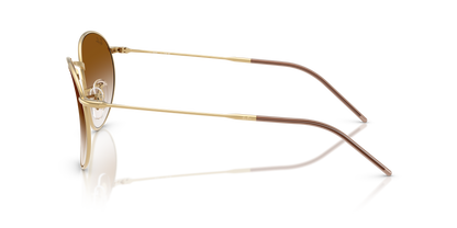 RAY-BAN RBR0103S ROUND REVERSE 001/CB 55