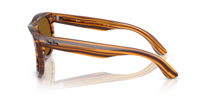 RAY-BAN RBR0502S WAYFARER REVERSE 679183 50