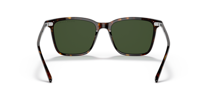 RALPH LAUREN RL8199 500371 53