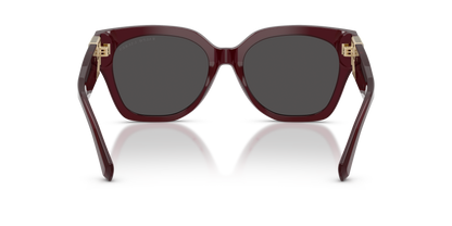 RALPH LAUREN RL8221 THE OVERSZED RICKY 508387 55