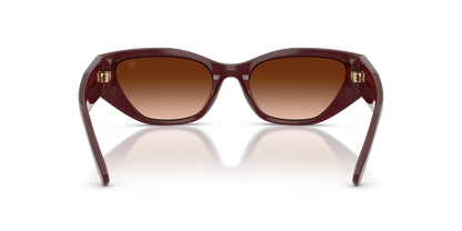 RALPH LAUREN RL8231U 551674 55