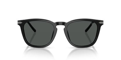 RALPH LAUREN RL8233U 500187 53