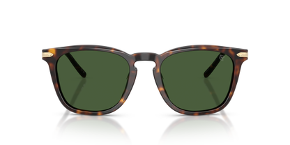 RALPH LAUREN RL8233U 500371 53