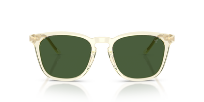 RALPH LAUREN RL8233U 503471 53